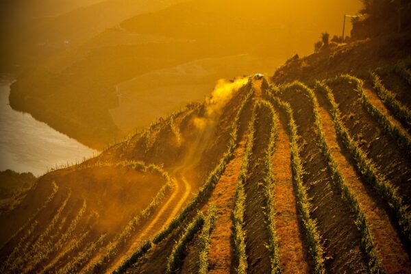 Douro