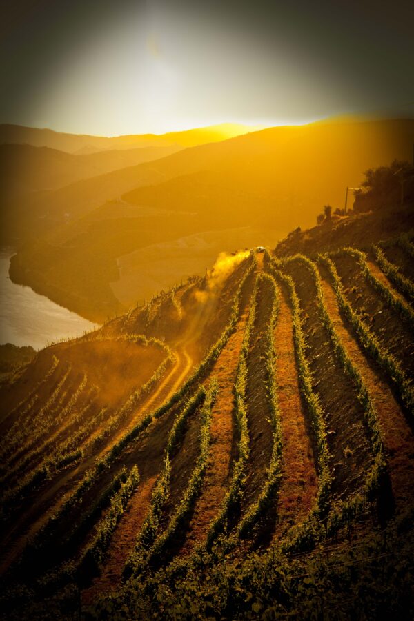 Douro