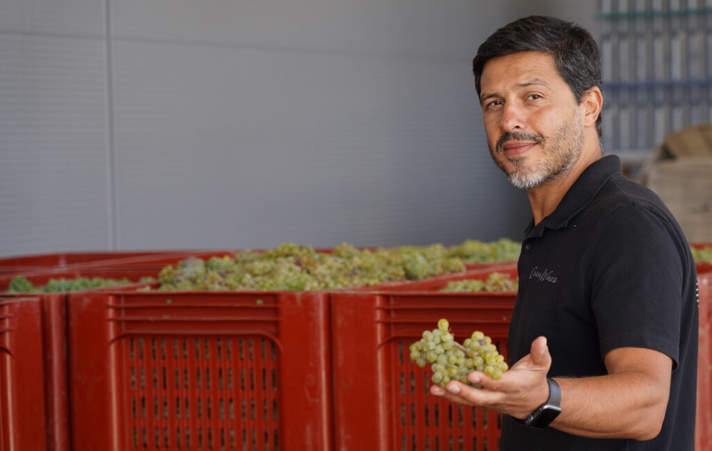 Hélder Cunha Winemaker