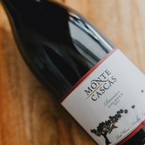 Monte Cascas Ramisco de Colares — vinho tinto criado por Hélder Cunha a partir de vinhas em pé franco nas areias de Colares. Comparado à Borgonha por Gordon Ramsay.