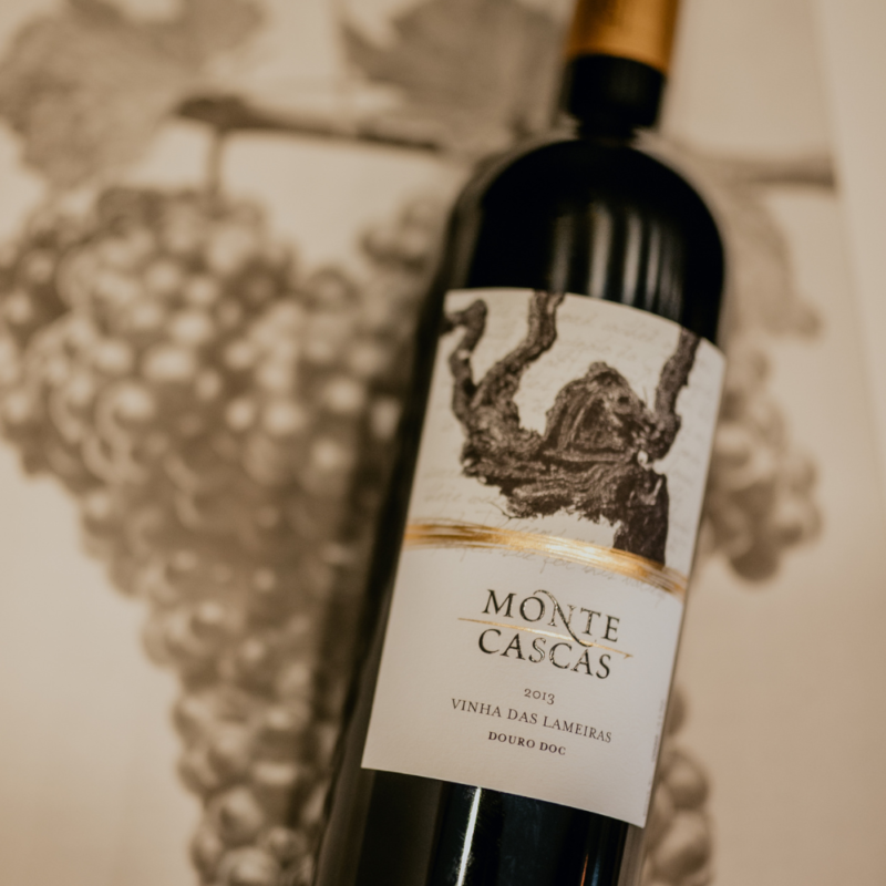 Monte Cascas Vinha das Lameiras Douro — vinho tinto de vinha centenária no Douro criado por Hélder Cunha. Altitude, precisão e identidade duriense.