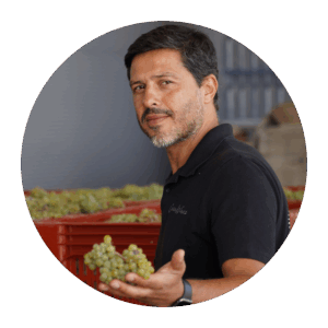 Picture of Hélder Cunha Winemaker