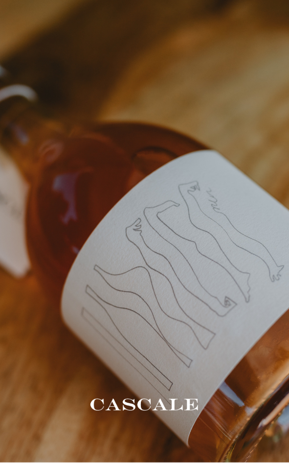 Detalhe do Cascale Orange Wine 2021 no copo, mostrando a cor dourada e a textura densa típica dos vinhos de curtimenta da Beira Interior. Produzido por Hélder Cunha na Casca Wines com mínima intervenção.