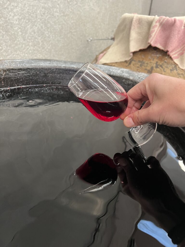 Enólogo a provar vinho de são martinho novo diretamente da amfora numa adega portuguesa.